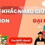 Nên Học Senmon Hay Đại Học Ở Nhật